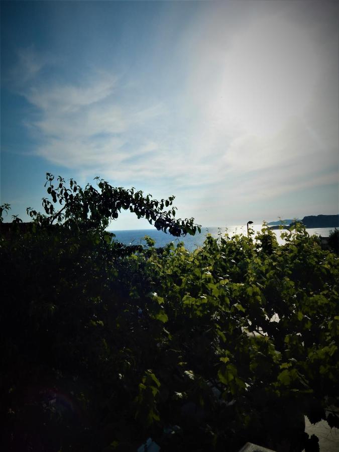 Vila Teodora 斯韦蒂·斯特凡 外观 照片